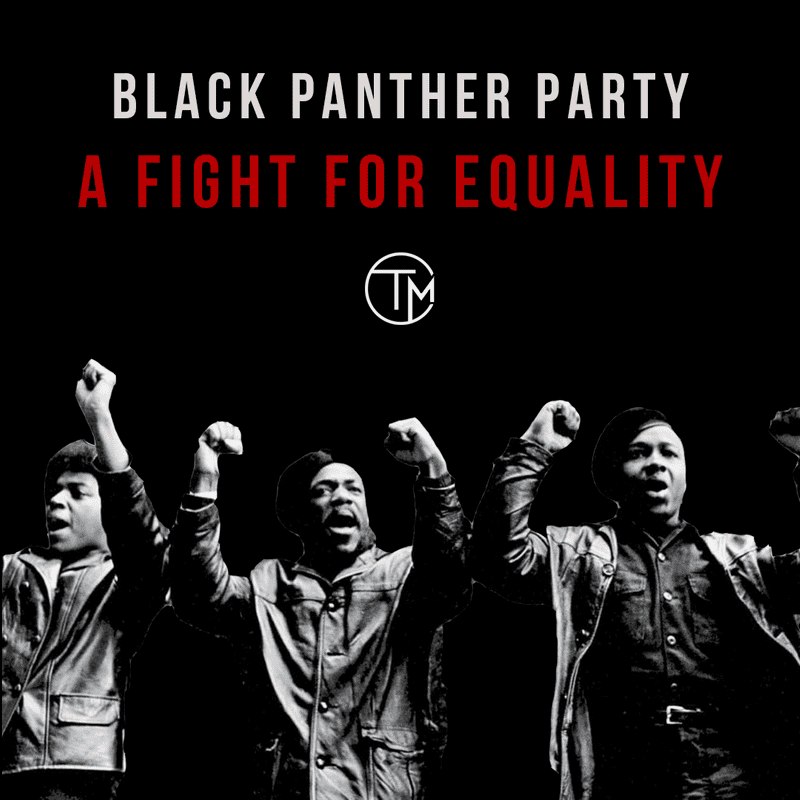 Black Panther Party’s Fight for Equality in the Civil Rights Era