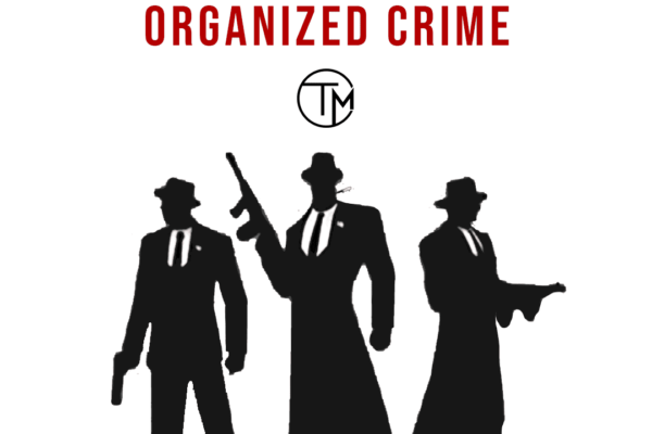 The Economics of Organized Crime