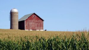 Impact of Pests on Crop and Livestock Yields