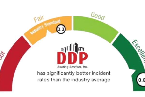 Benefits of Using DDP Service for Your Business