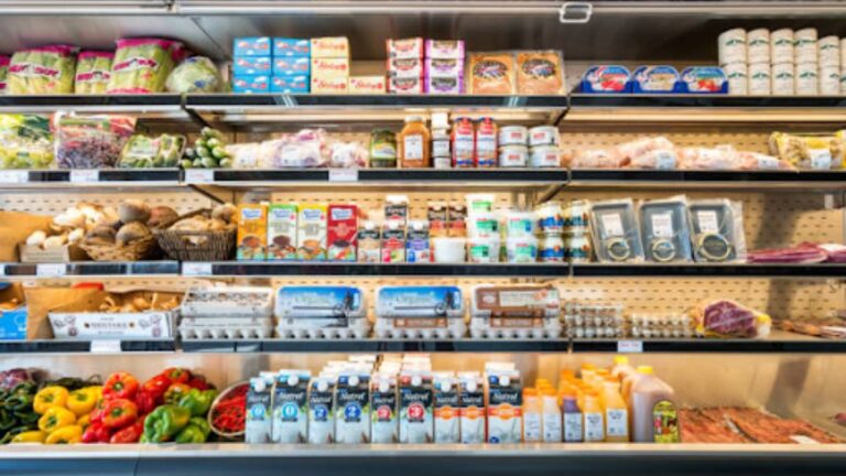 chef analyzing stainless double-door fridge from a widespread restaurant supply shop