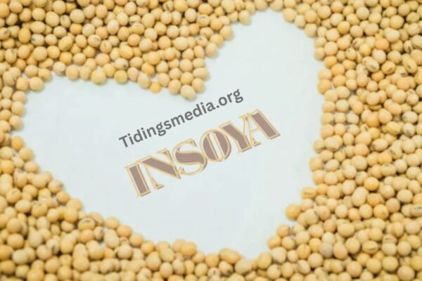 insoya: A Plant-Based Revolution in Health and Sustainability insoya