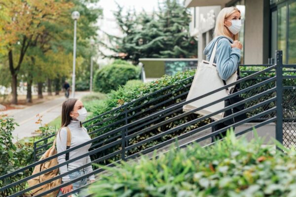 Affordable Sturdy Fences